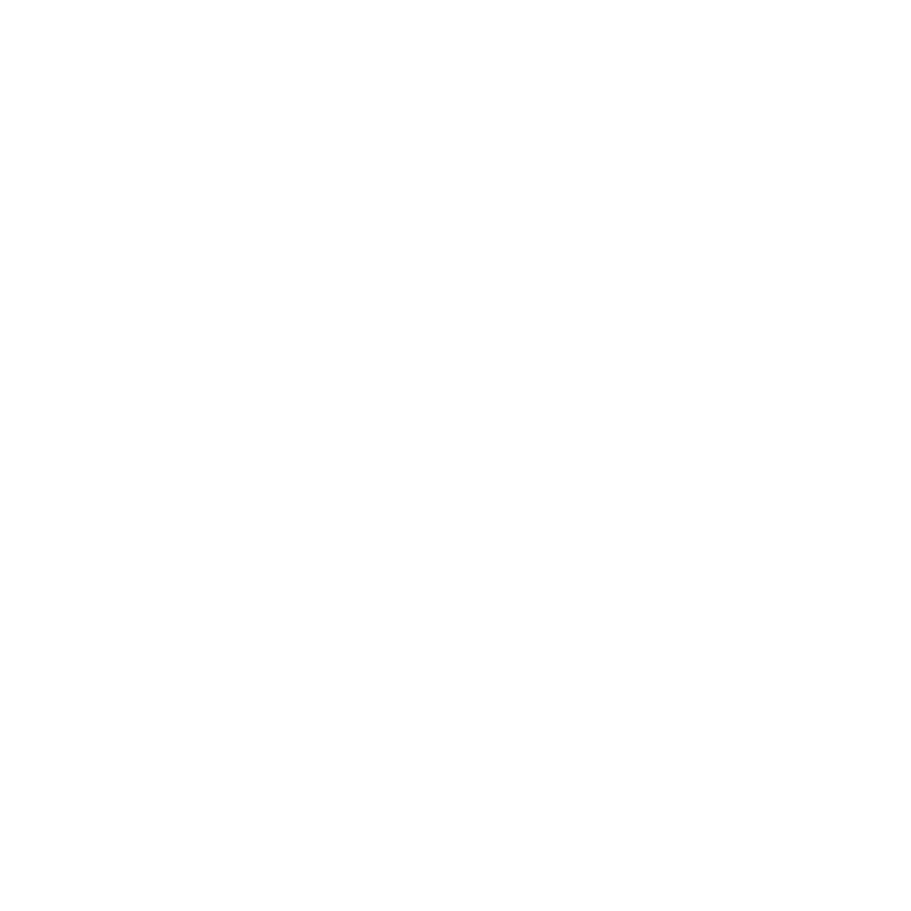 Fortessa